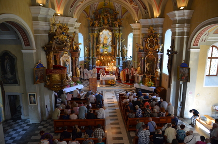 zvonovi (81)